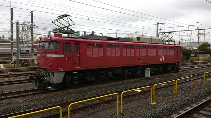 ef81140.JPG